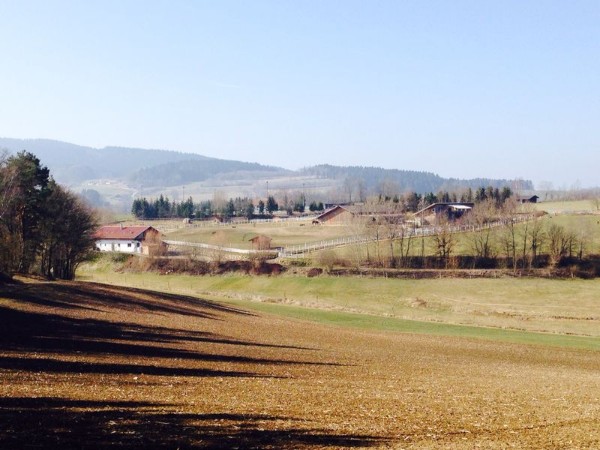 ein kleiner Ausblick auf unsere Anlage, oben rechts Liegehalle, Innenkoppel und links die Nashvilla